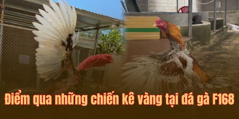 Trải nghiệm đá kê đòn truyền thống lâu đời
